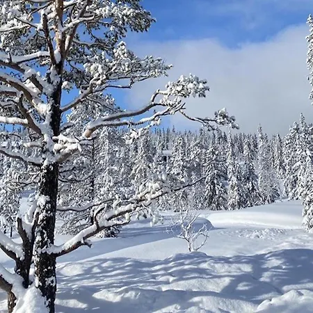 Stunning In With Kitchen